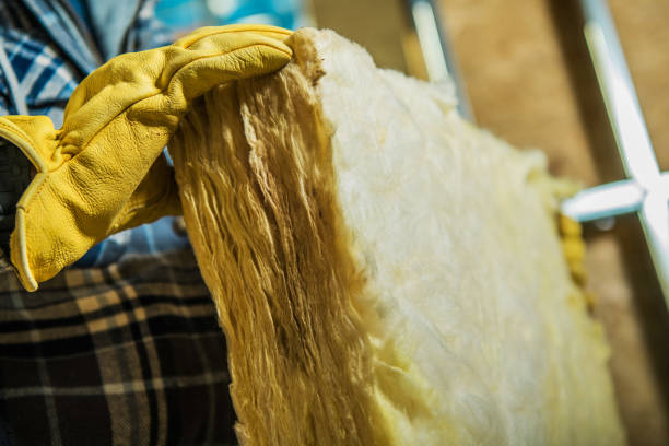 Best Residential Insulation in Eastlake, OH