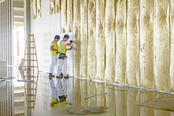 Best Residential Insulation in Eastlake, OH
